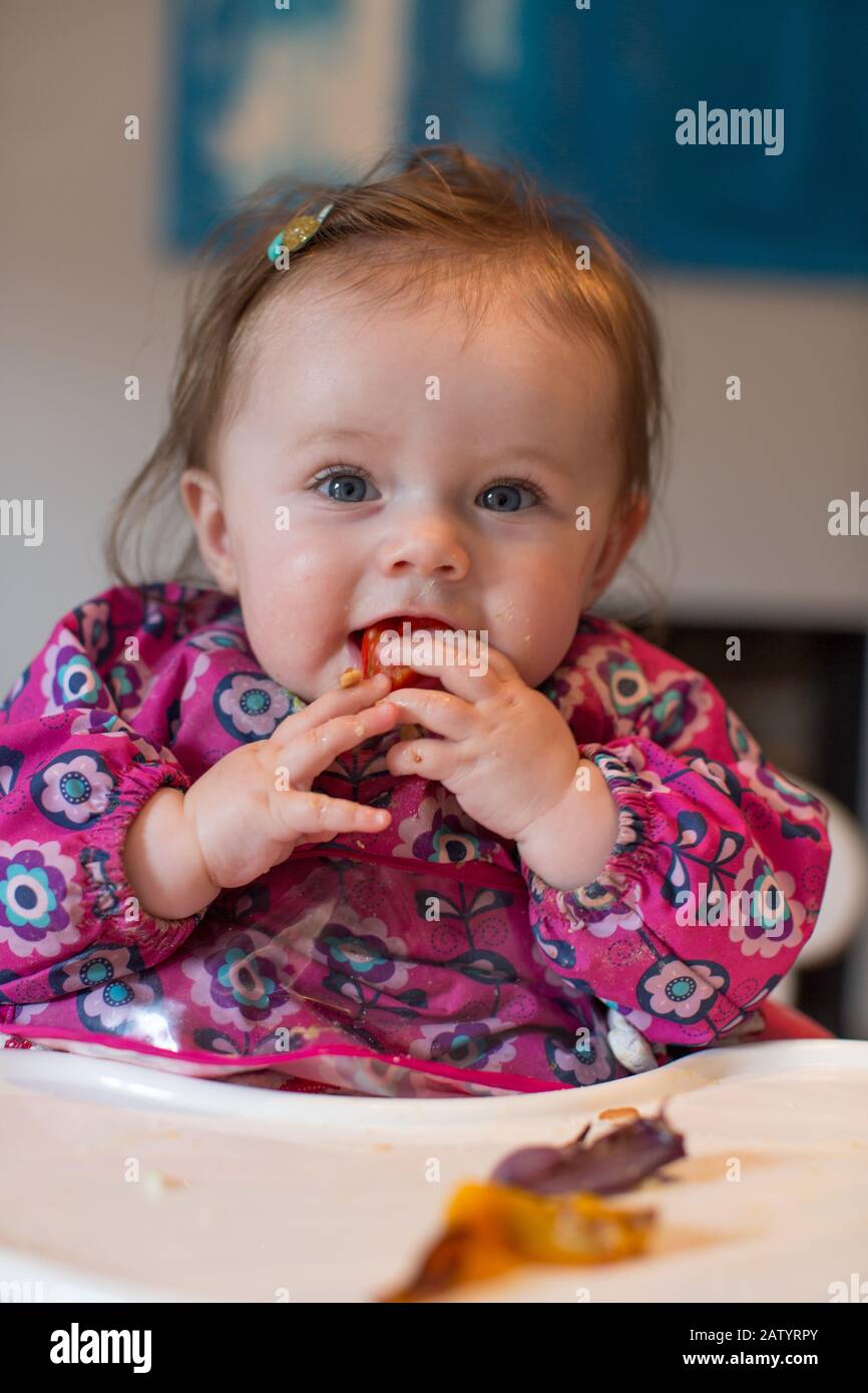 8 month old baby girl eating food Stock Photo Alamy