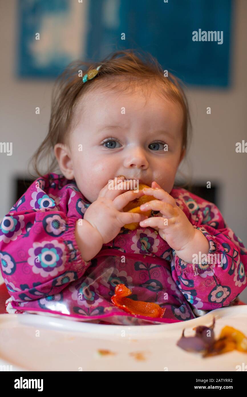 8 month old baby girl eating food Stock Photo