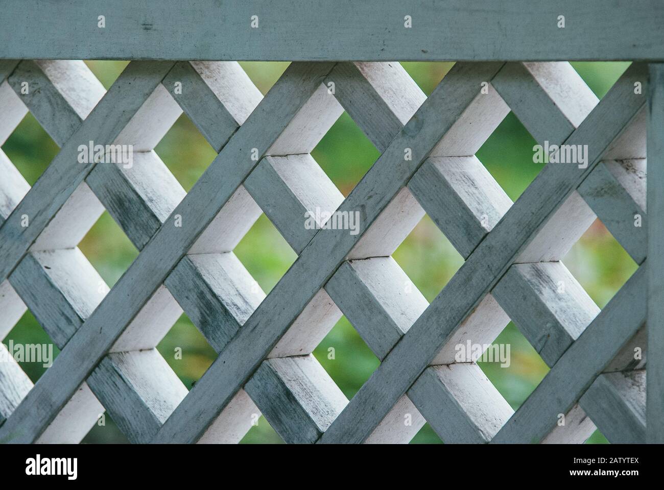 diamond-shaped wooden lattice painted white against the background of a green lawn Stock Photo