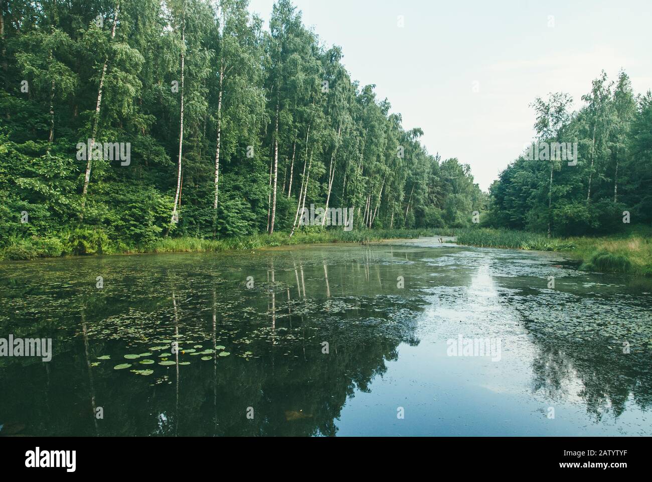 Lake pond mountain pine forest tree hi-res stock photography and images ...