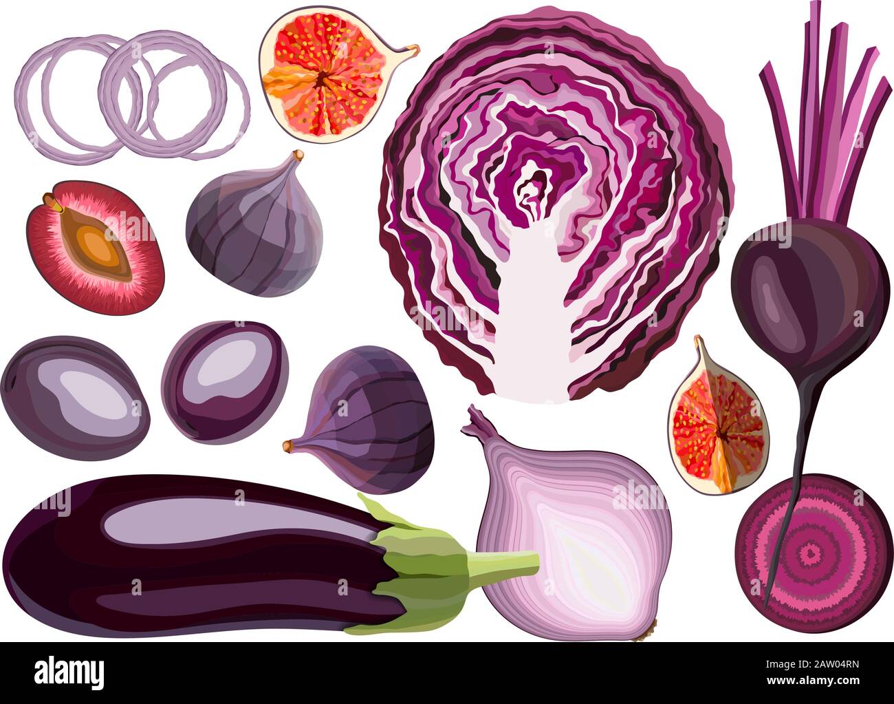 Collection of fresh violet color vegetables and fruits raw on white background Stock Vector