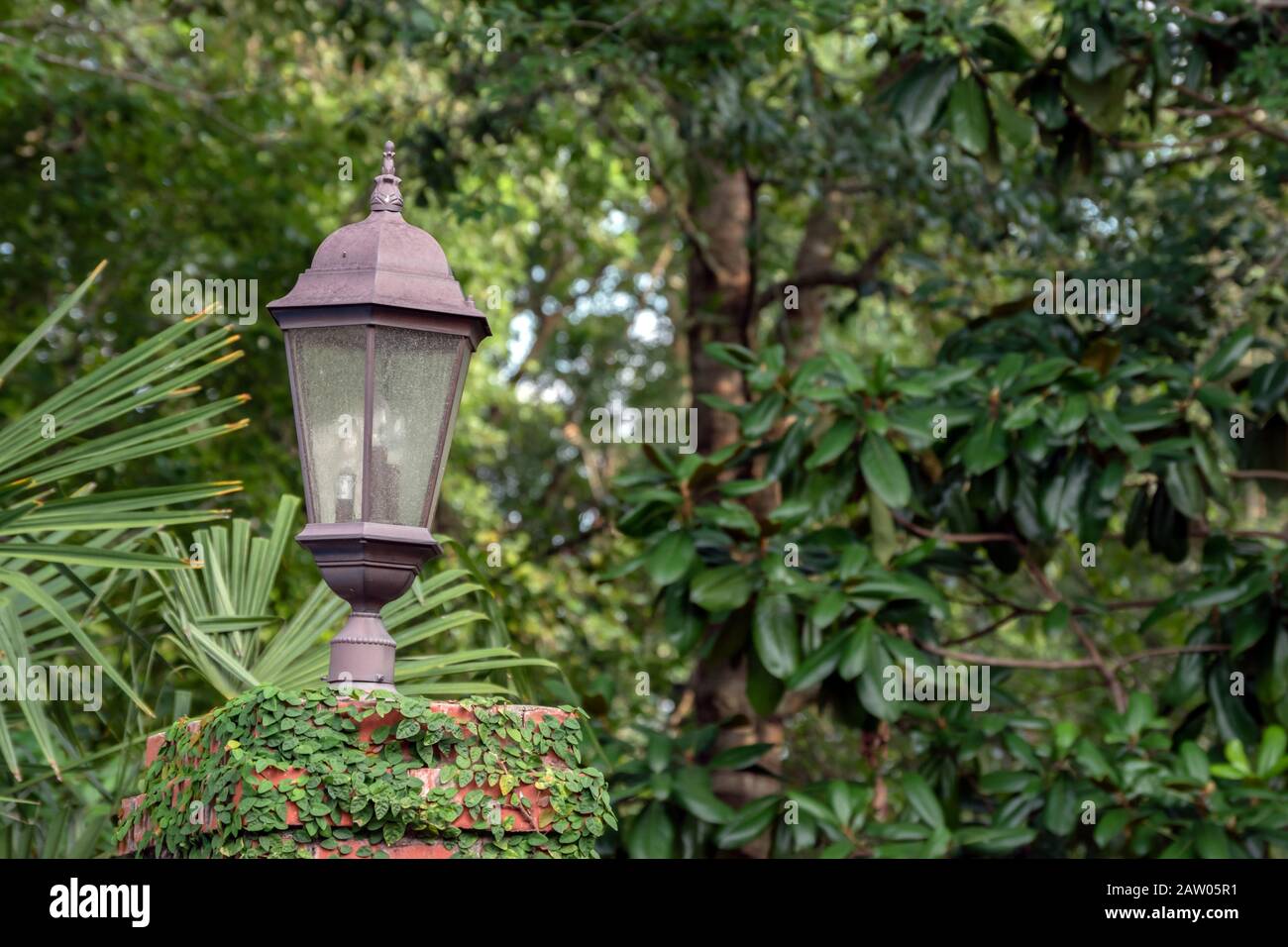 Decorative and useful outdoor lamp provides lighting and personality to