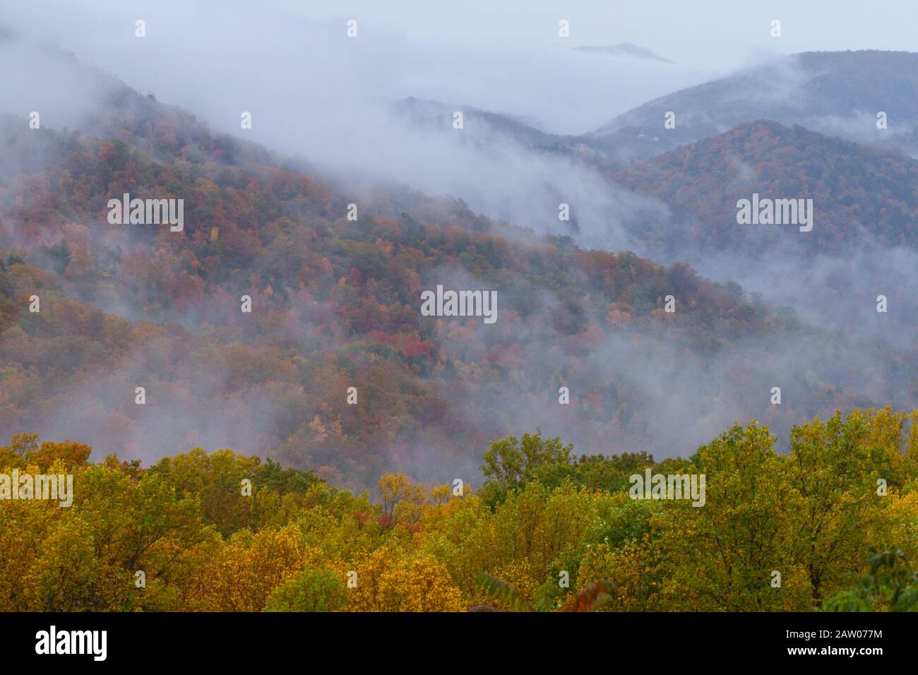 Morning fog rises over fall foliage in The Great Smoky Mountains