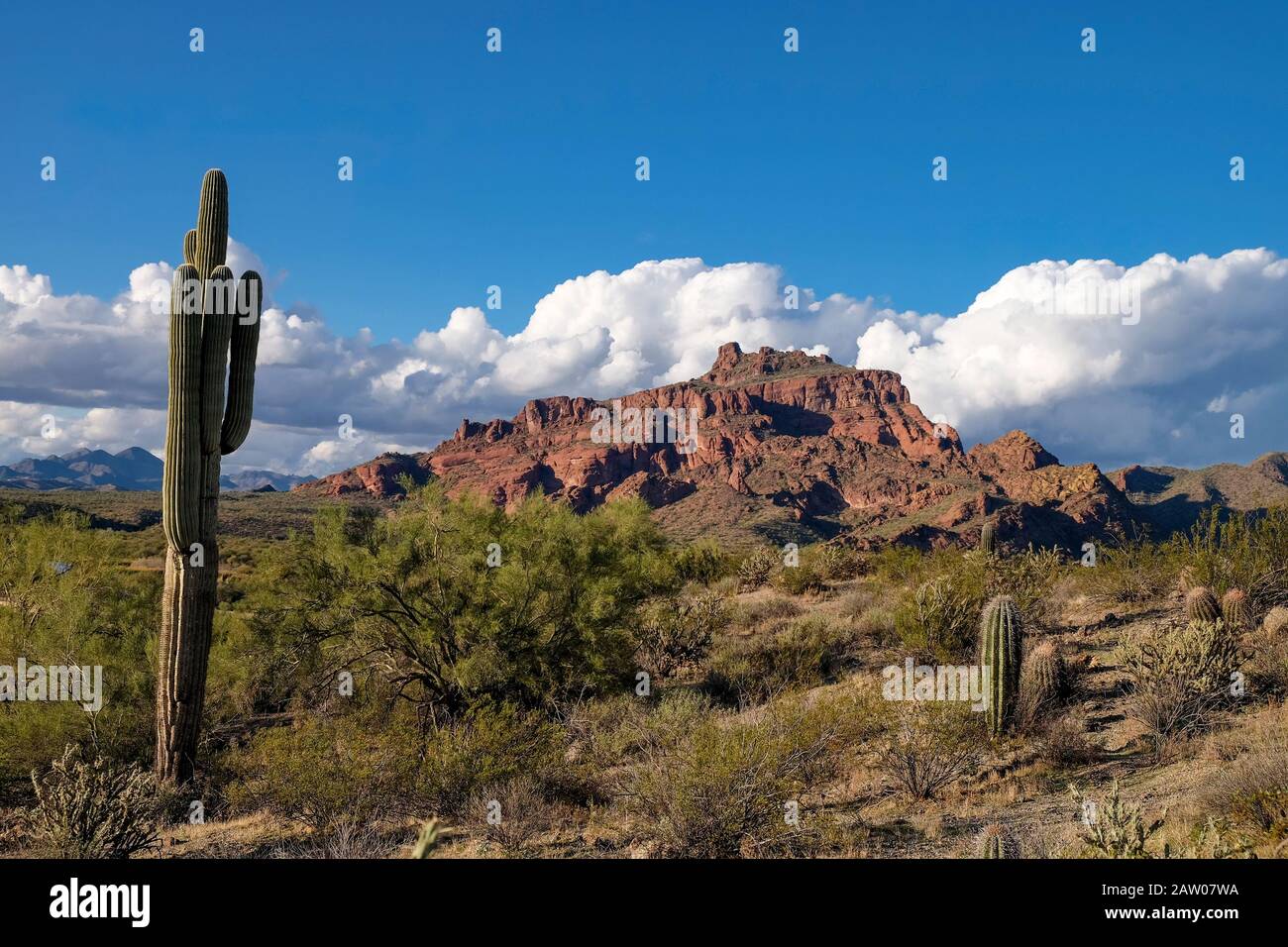 Scenic landscape of Red Mountain (Mount McDowell), located on the Salt River North of Mesa, Arizona. Stock Photo