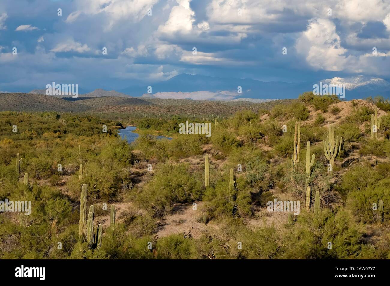 Sonoran desert landscape with saguaro cactus and clouds. Salt River Recreation Area. Mesa, Arizona. Stock Photo
