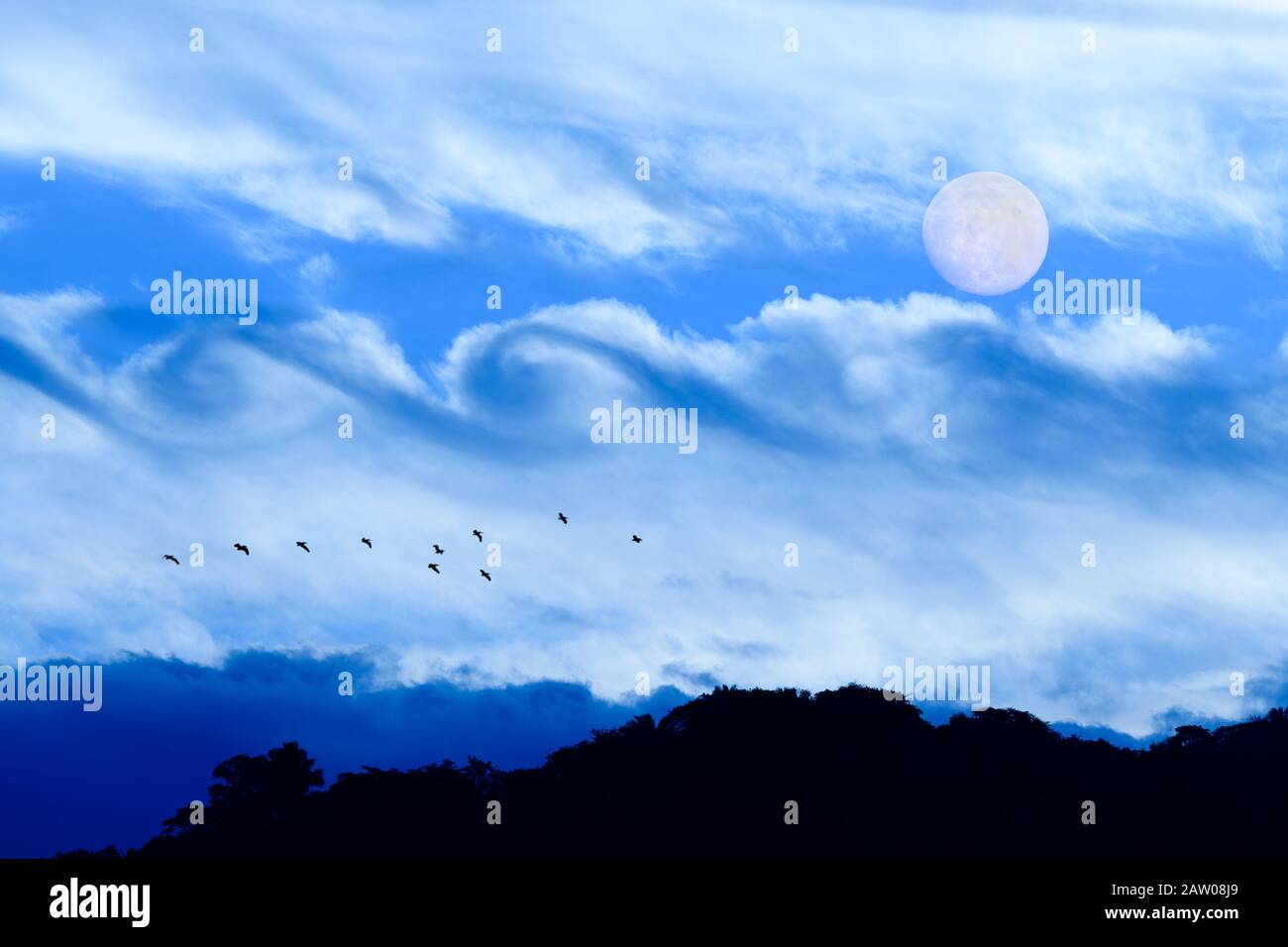 Full Moon Is Rising in the Night Sky While Birds are Silhouetted Against a Fantasy Like Cloudscape Stock Photo