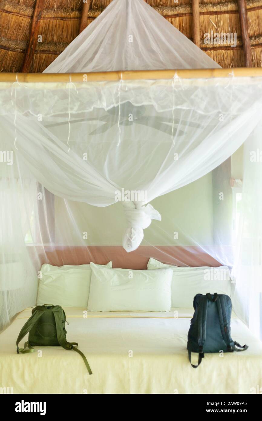 Backpacks on a bed with a mosquito net in a Mayan hut style cabana hotel room in Tulum, Yucatan, Mexico. Stock Photo