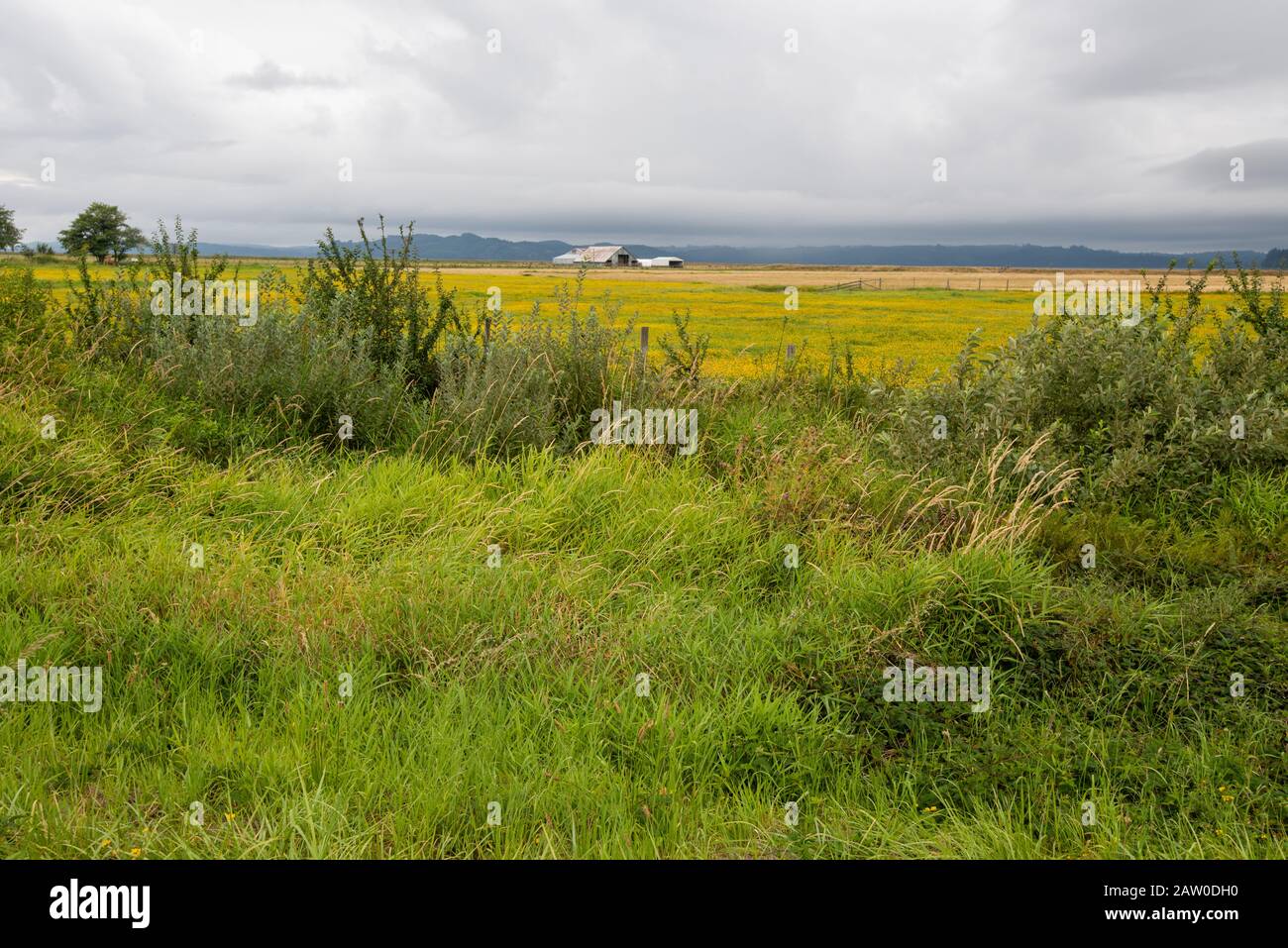 A Pacific Northwest farm is socked in by summer storm clouds. Stock Photo