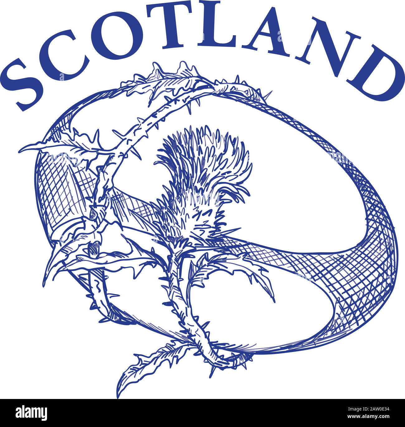 Hand sketched drawing illustration of rugby ball with Scotch thistle flower  and vine entwined on isolated background with words "Scotland Stock Vector  Image & Art - Alamy