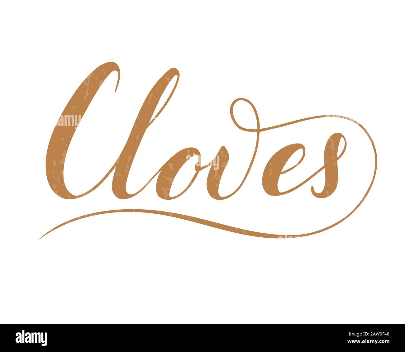 Vector hand written cloves text isolated on white background. Kitchen healthy herbs and spices for cooking. Script brushpen lettering with flourishes. Stock Vector