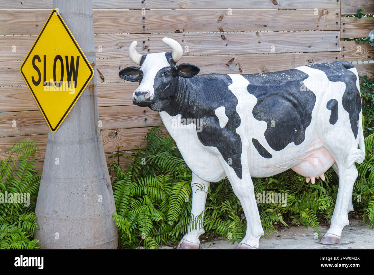 Hollywood Florida,Yellow Green Farmers Market,cow,statue,attract attention,FL101031020 Stock Photo