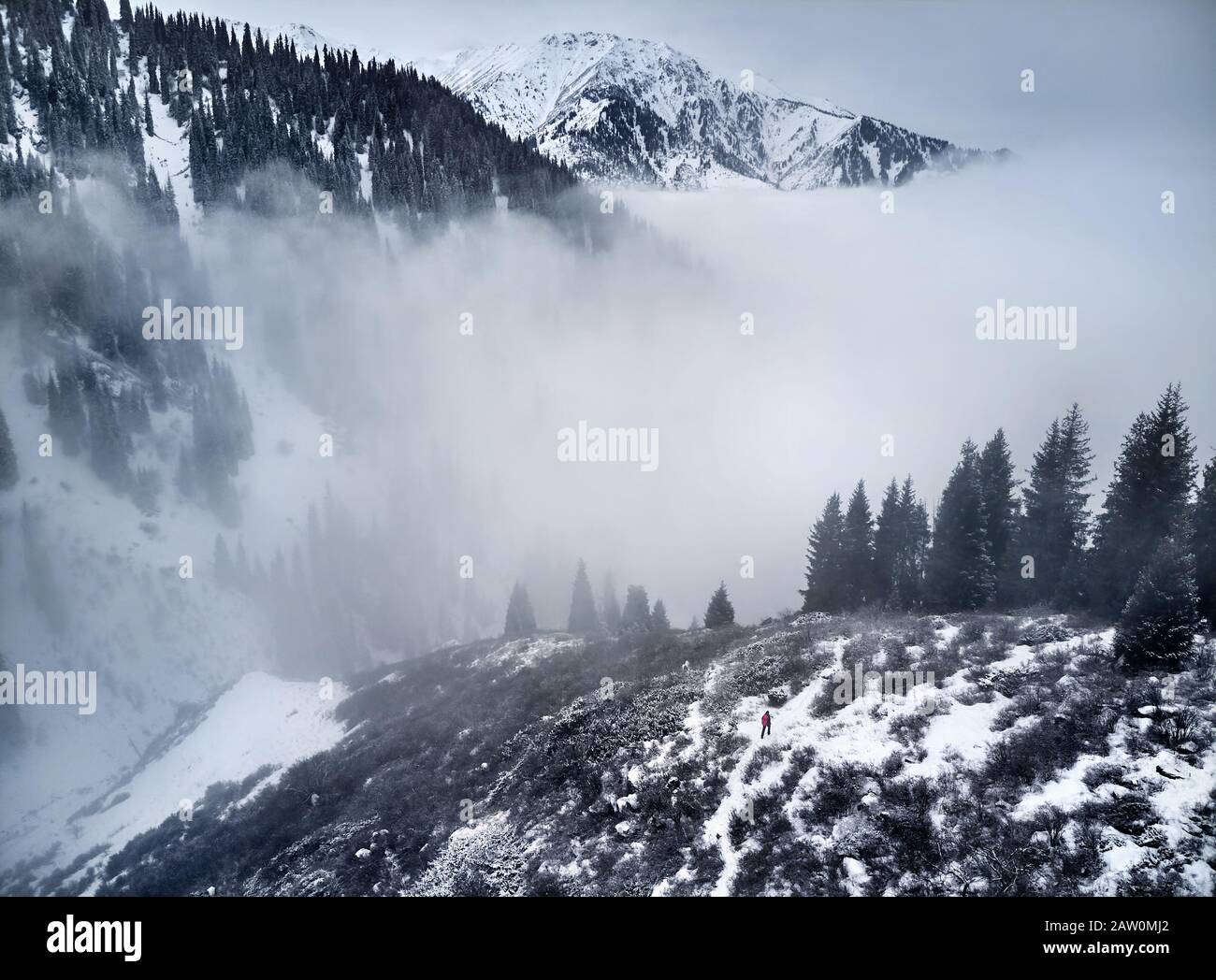Small man with red backpack in winter mountains in fog. Aerial drone shot. Stock Photo