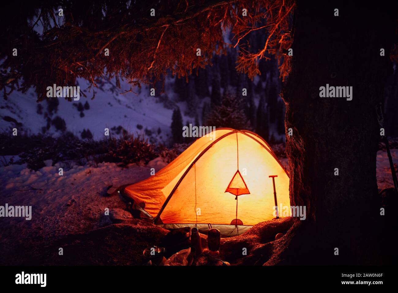 Camp with orange glowing tents near big spruce in the mountains under purple winter night sky. Stock Photo