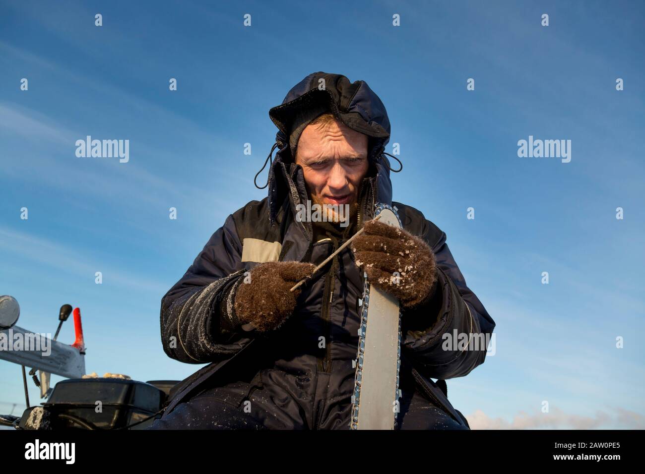 A worker in a blue jacket sharpens a chainsaw chain. Stock Photo