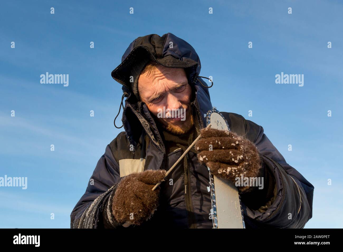 A worker in a blue jacket sharpens a chainsaw chain. Stock Photo