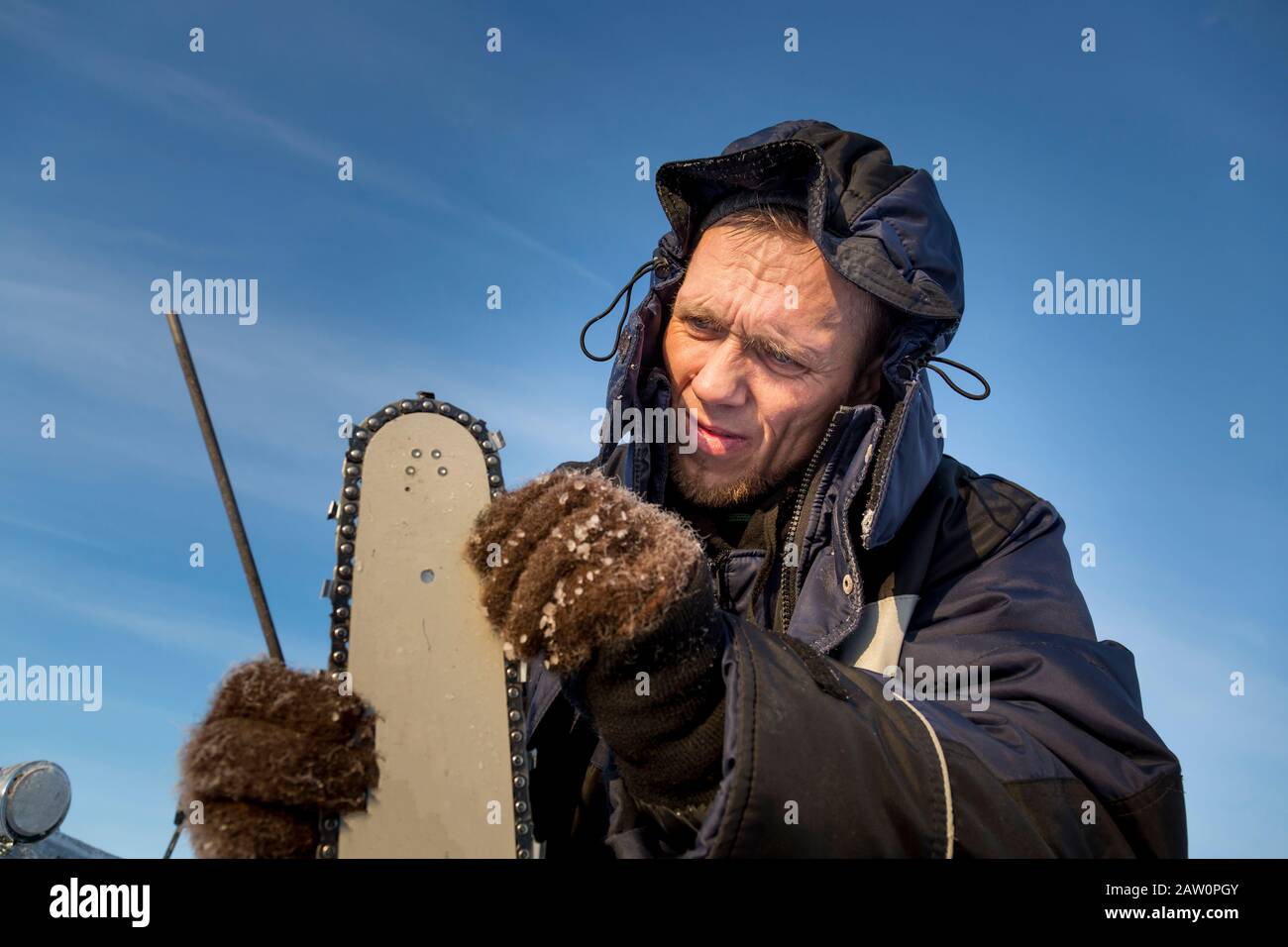 A worker in a blue jacket sharpens a chainsaw chain. Stock Photo