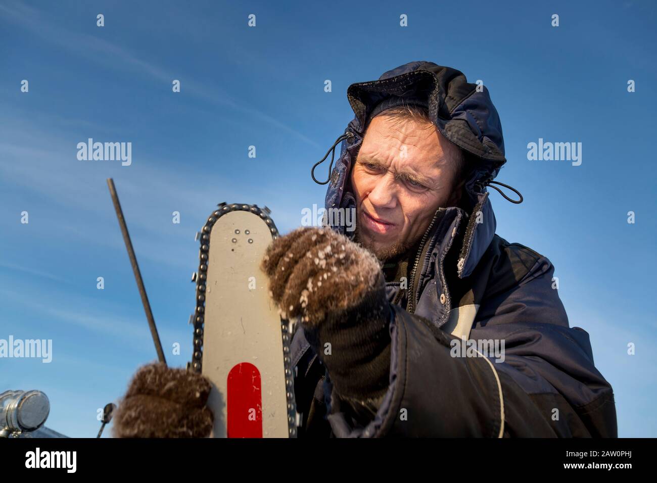 A worker in a blue jacket sharpens a chainsaw chain. Stock Photo