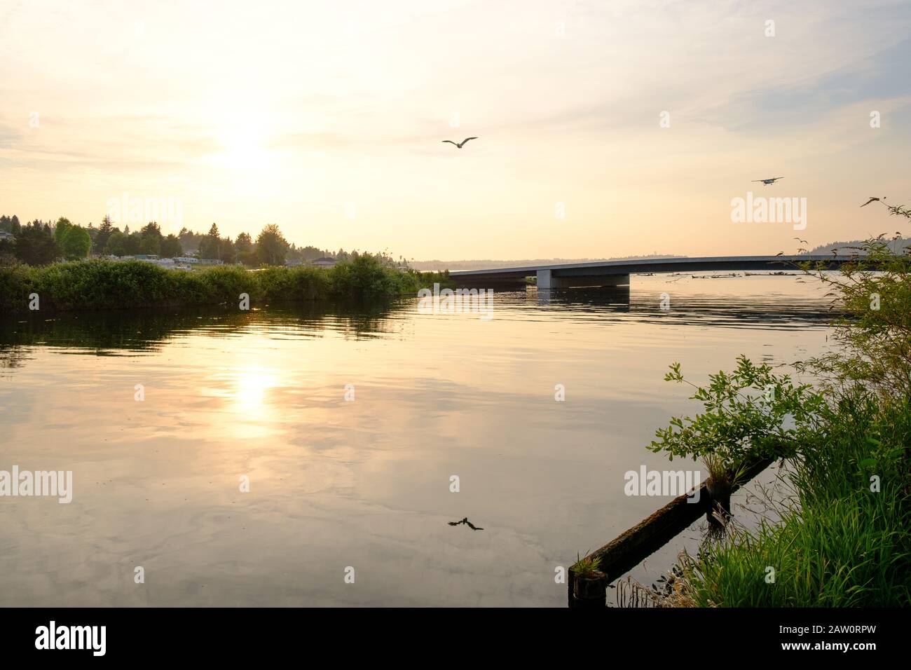 Sunset along the Cedar River Trail Park, Renton Washington Stock Photo