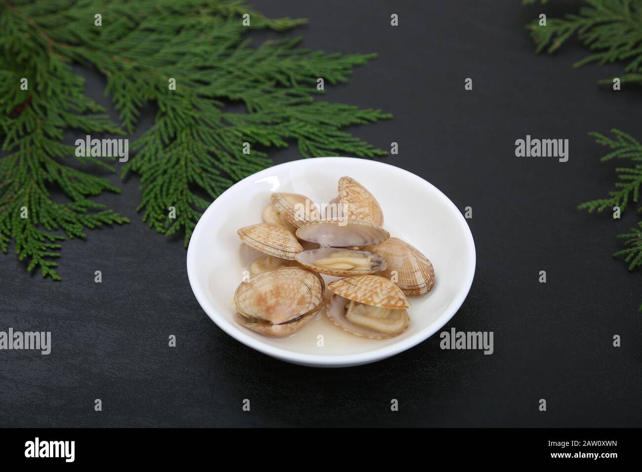 Asari clam Stock Photo