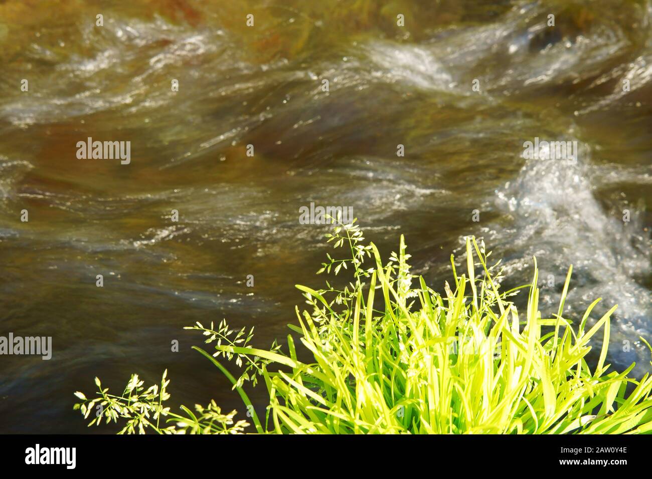 Stream flowing spring water Stock Photo - Alamy