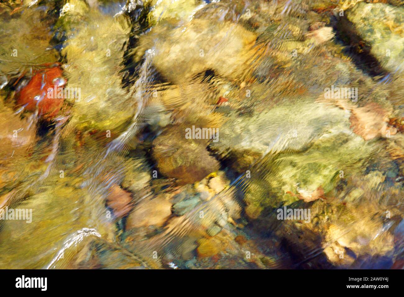 Stream flowing spring water Stock Photo - Alamy