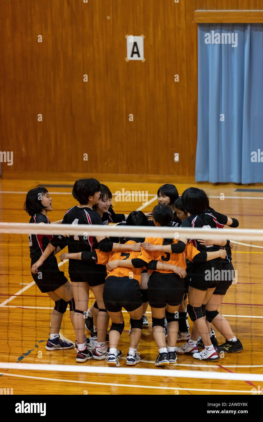 Volleyball game Stock Photo Alamy