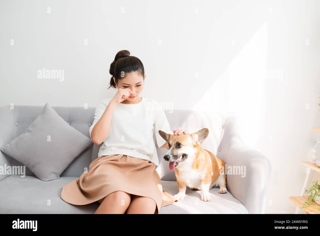Young Asian female crying on sofe with her Corgi dog Stock Photo