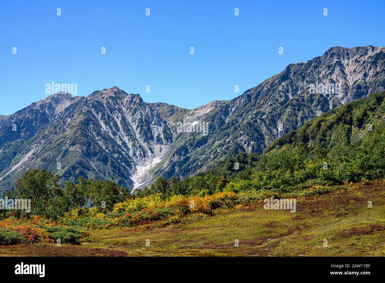 Tenbou Marshland, Tsugai Shizenen, Nagano Prefecture, Japan in autumn Stock Photo
