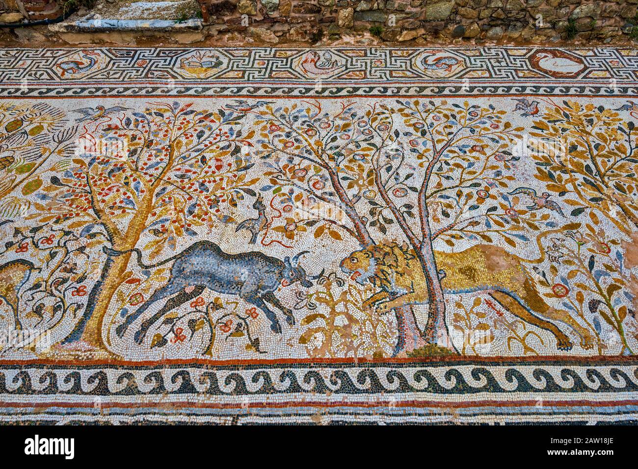 https://c8.alamy.com/comp/2AW18JE/mosaic-6th-century-great-basilica-at-heraclea-lyncestis-ancient-greek-and-roman-city-ruins-near-bitola-north-macedonia-2AW18JE.jpg