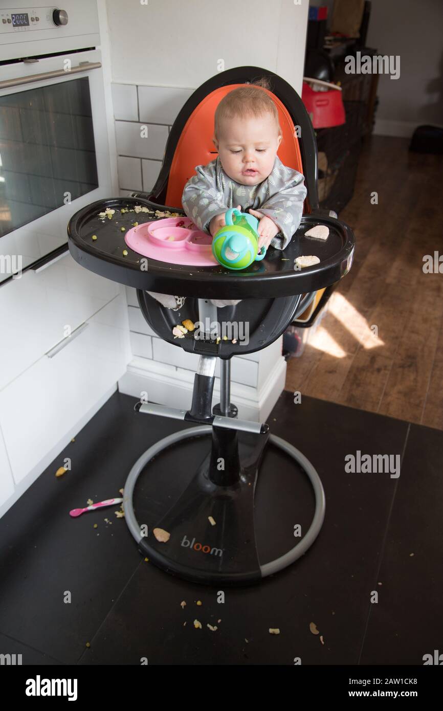 8 month old baby girl making a mess eating in a highchair, UK Stock Photo