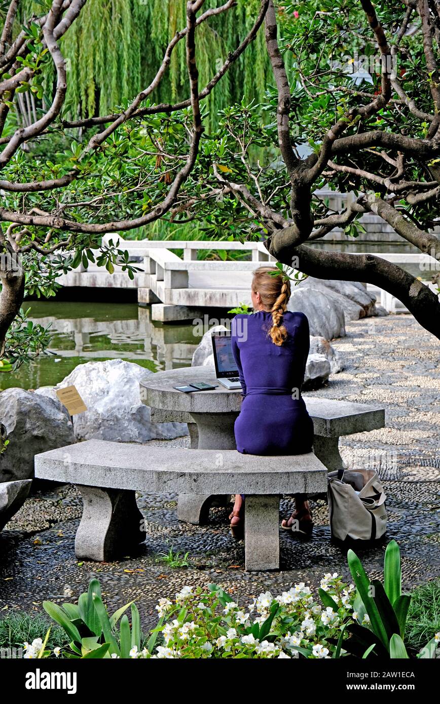 A woman sitting in a beautiful Chinese garden and pond surrounding a pagoda contrasted by Sydney city in the background. Chinese Garden of Friendship, Stock Photo