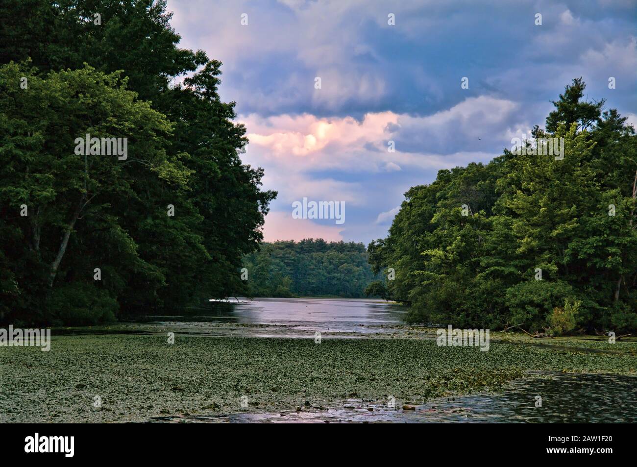 Lake in the forest landscape Stock Photo