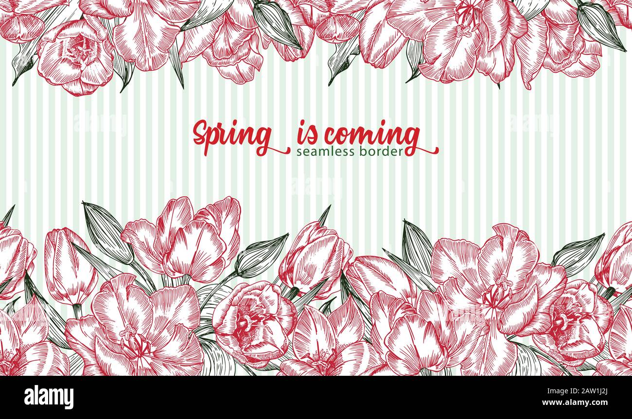Spring Background Red Grey Greeting background with Spring flower tulips bouquet in red and green ...