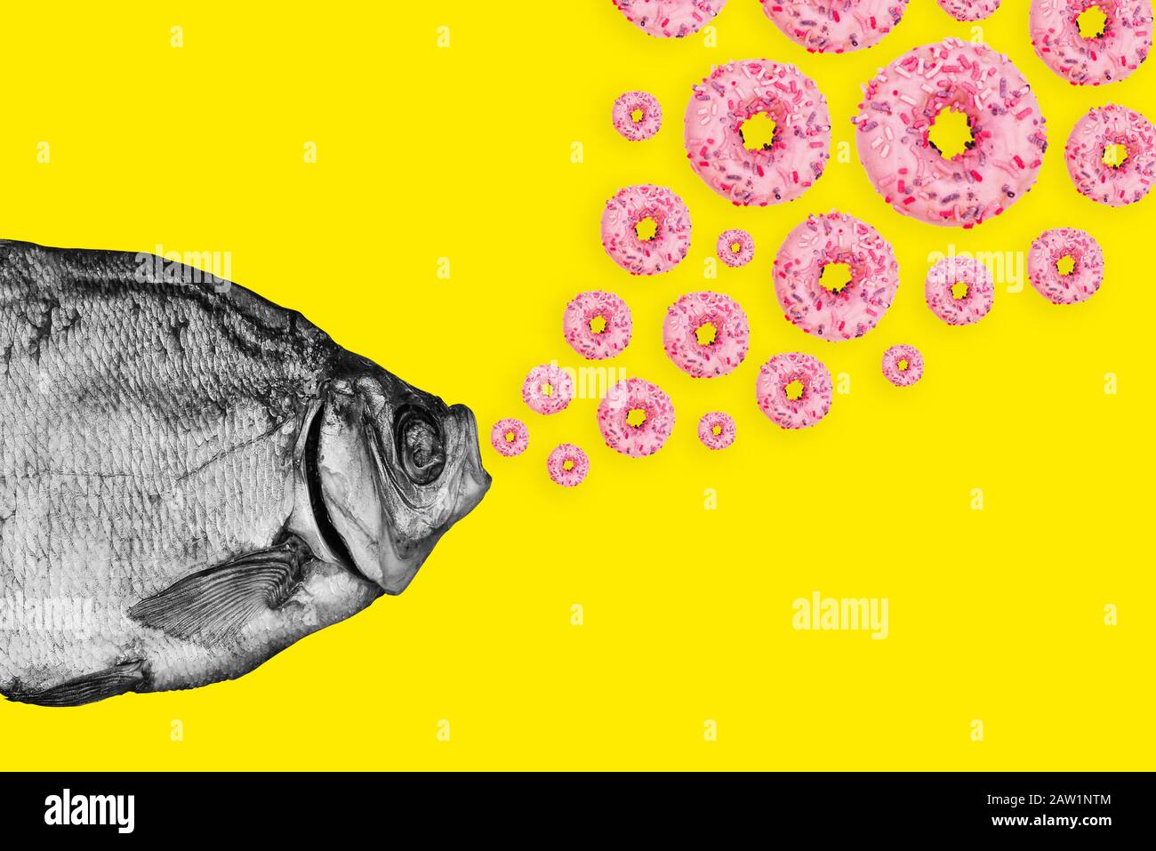 Concept fish and donuts on a colored background. Modern art collage Stock Photo