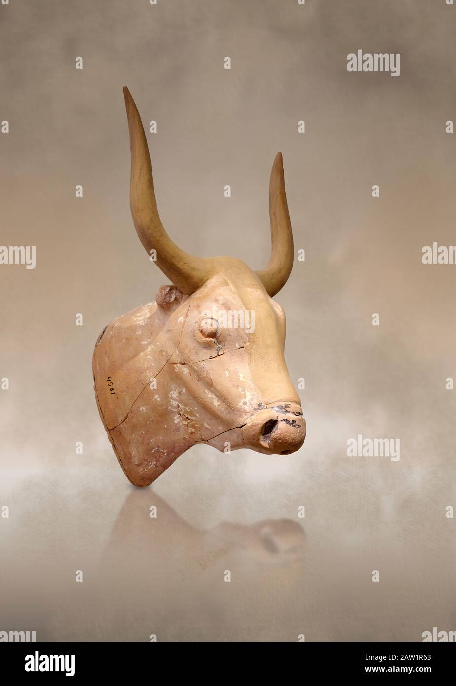 The Minoan clay bull's head rhython lbation vessel, Palaikastro 1500