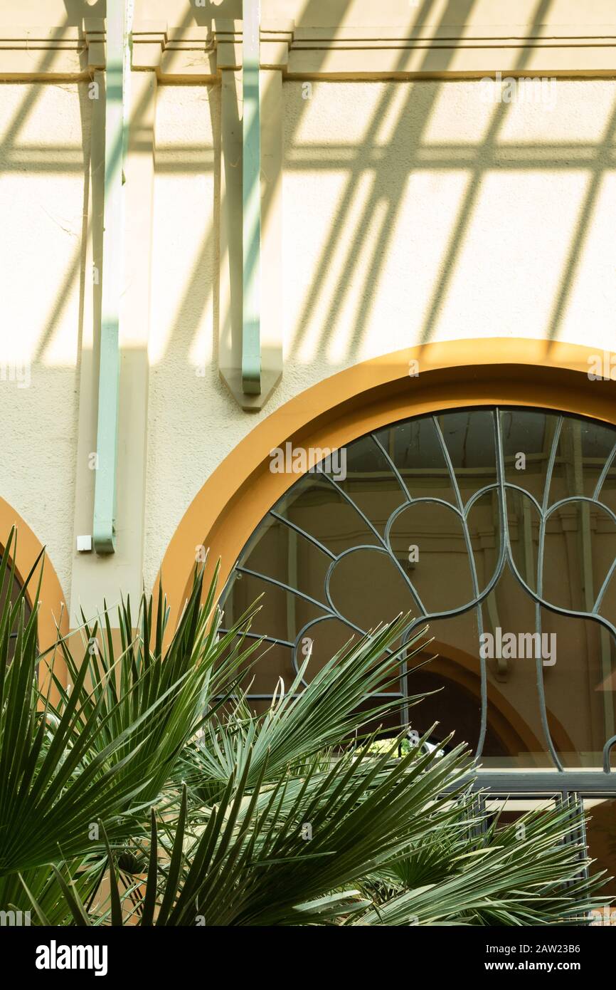 Large beautiful green house plants under a glass dome, palm