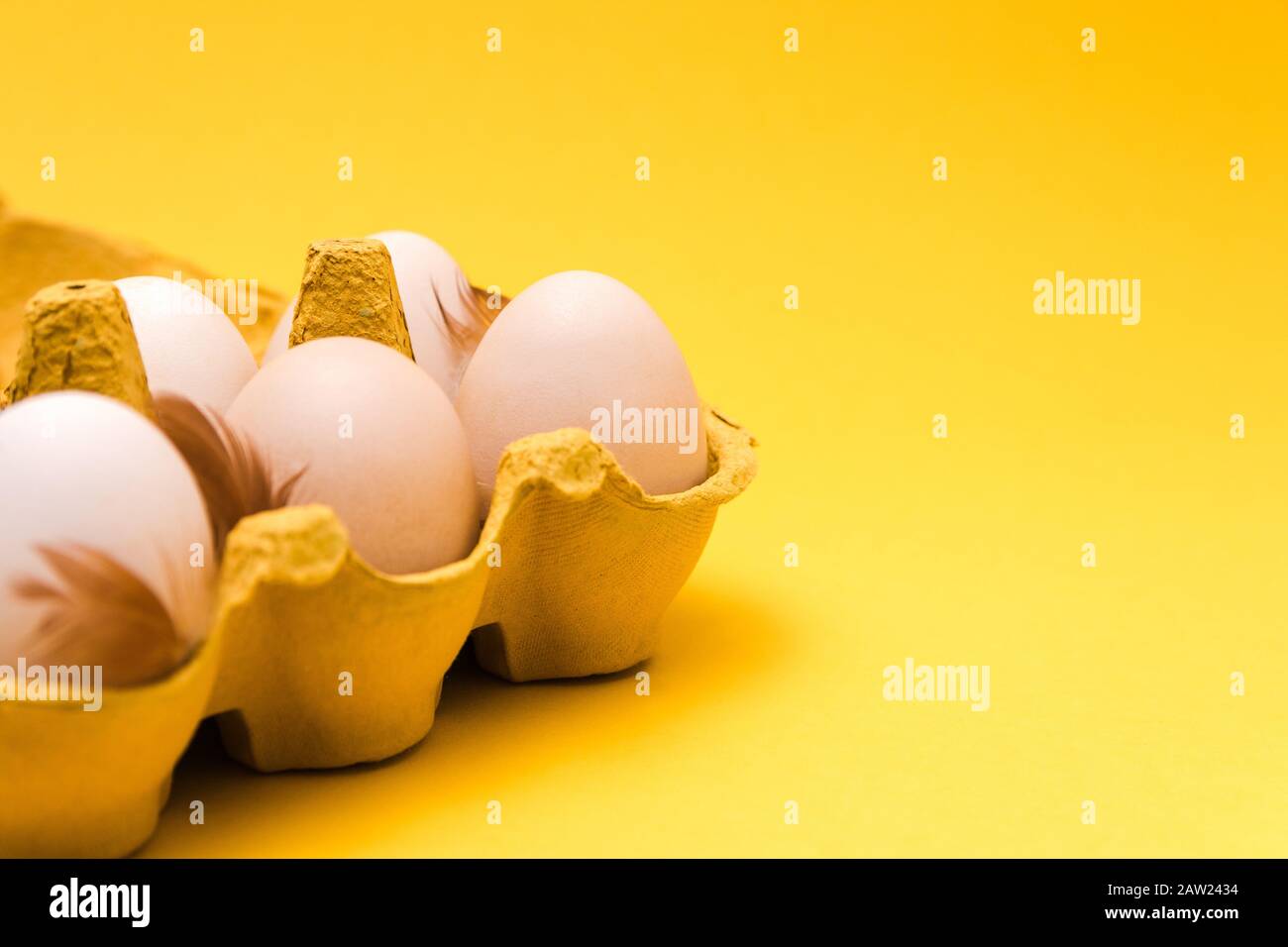 closeup. six ecological eggs and natural further in an eggbox on yellow background Stock Photo