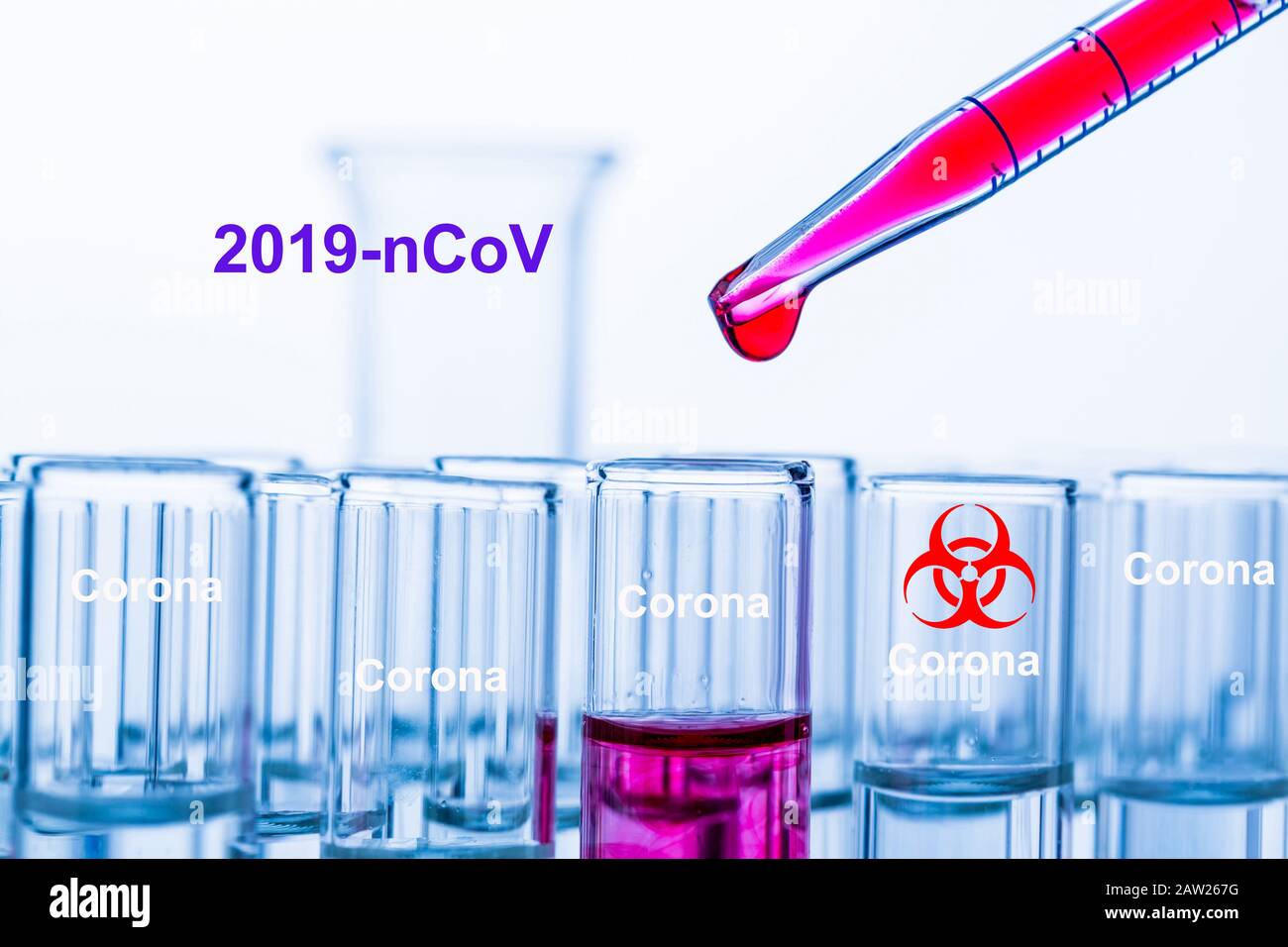 corona virus is analysed in a laboratory Stock Photo