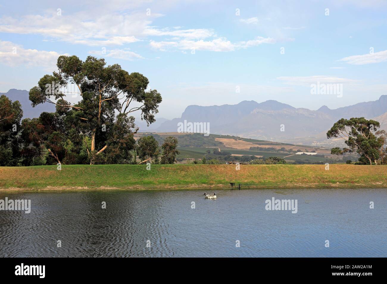 Dam at Jordan Estate, Stellenbosch, South Africa Stock Photo - Alamy