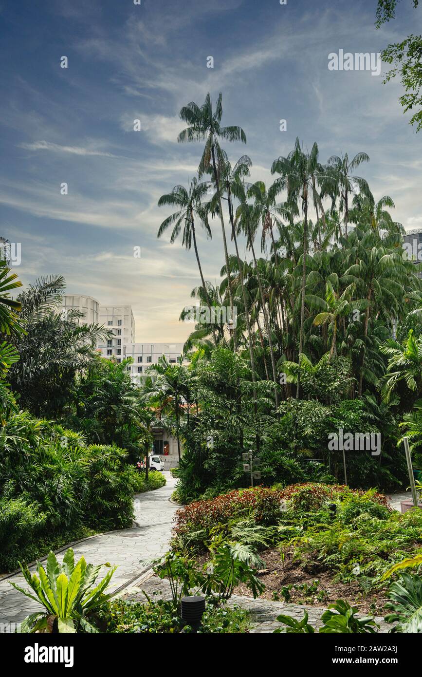 Singapore. January 2020.   A panoramic view of the nature in Istana park Stock Photo