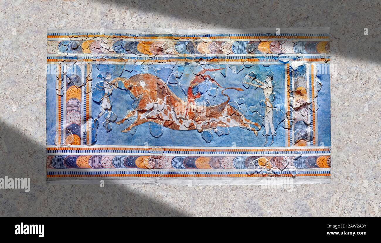 The Minoan 'Bull leaping' fresco depicting an athlete leaping over a bulls back,  Knossos-Palace, 1600-1400 BC . Heraklion Archaeological Museum.  the Stock Photo