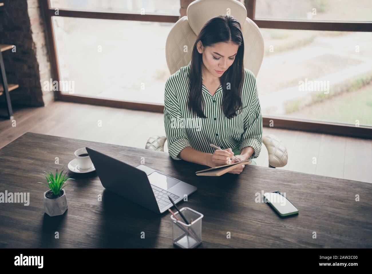 Top above high angle view portrait of her she nice attractive busy lady expert shark specialist psychologist writing notes learning at modern Stock Photo