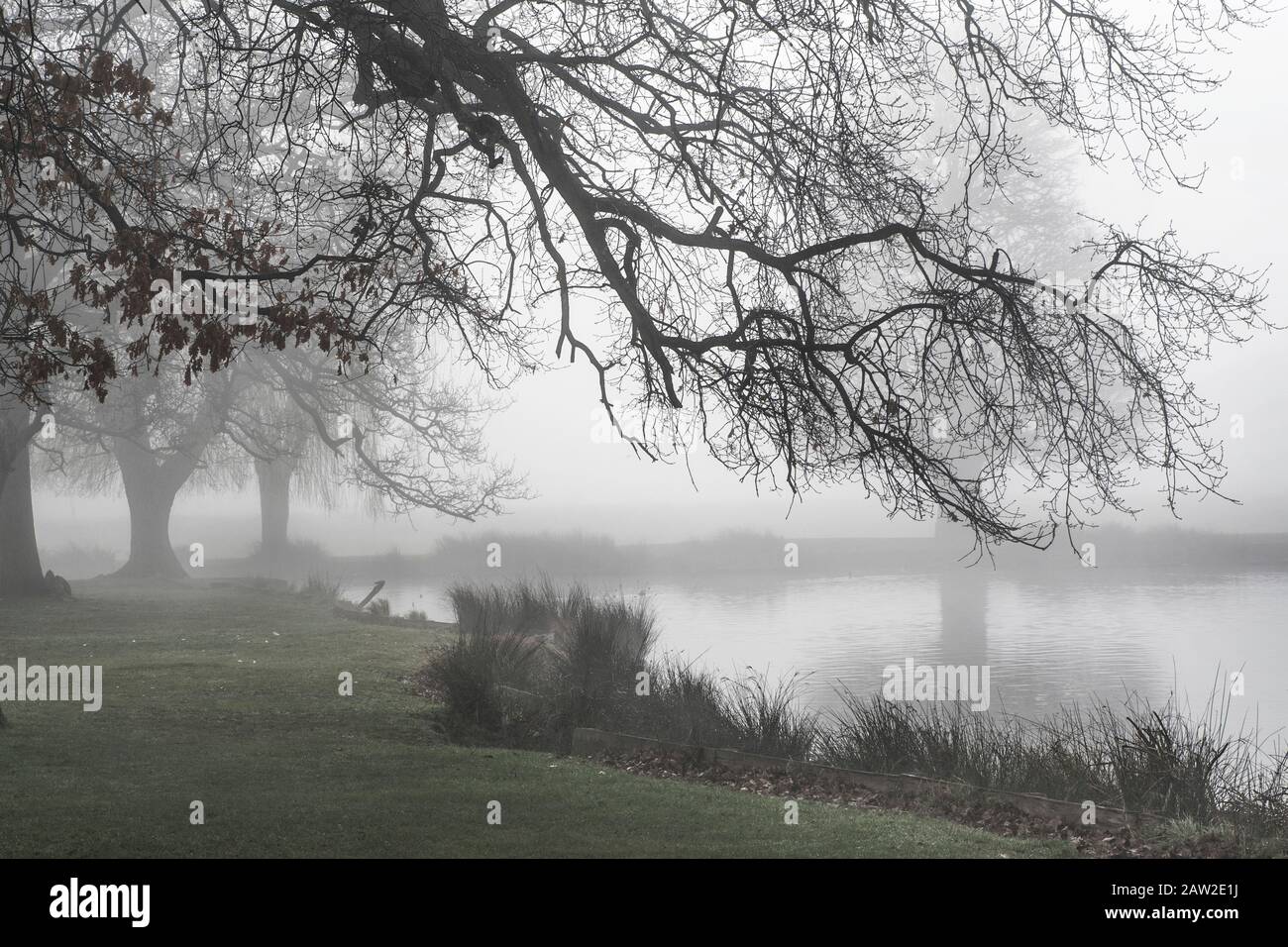 misty morning looking across the pond Stock Photo