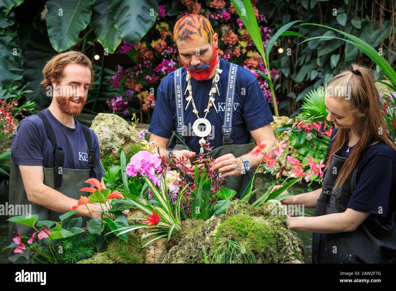 Kew Gardens, London, 06th Feb 2020. Left to right: Diploma student Neil Alderson, Kew volunteer Henck Roeling and Kew apprentice Jenny Crabb tend to the delicate flowers. The annual Kew Orchid Festival at Royal Botanical Gardens in Kew is this year themed around the wonders of Indonesia. The dazzling display showcases Indonesia's plant diversity and wildlife at the Princess of Wales Conservatory. It will be open to the public 8th February - 8th March, 2020. Stock Photo