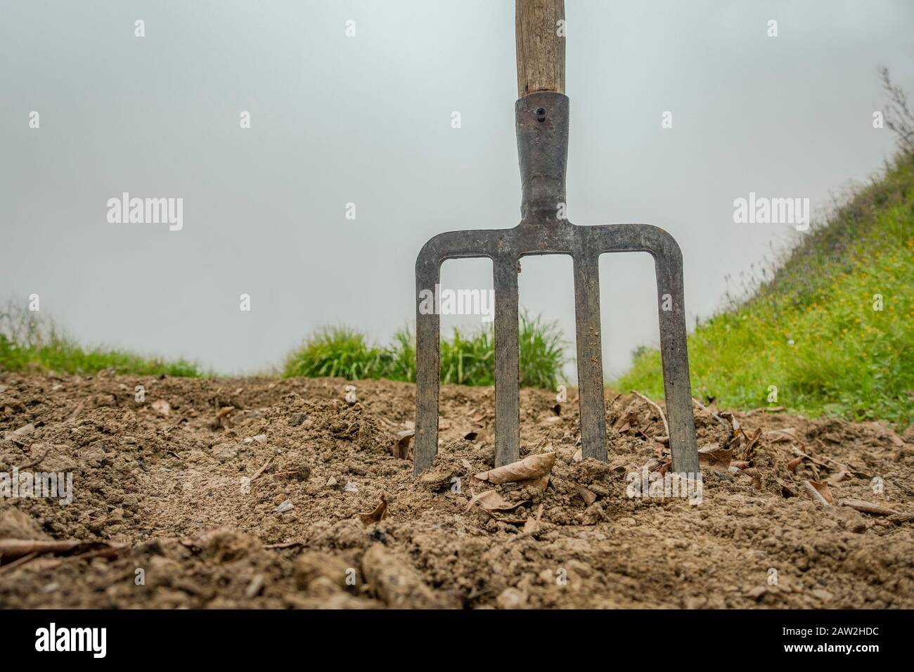 Forged spading fork in fertile soil, fog behind. Stock Photo