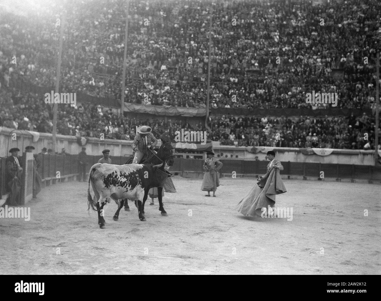 Bullfight in Nimes Arena Picador riding cross bull with lance, around it  the torero's Annotation: The picador (Spanish for stick) is the person in  bull fighting puts the skewers (banderillas) in the