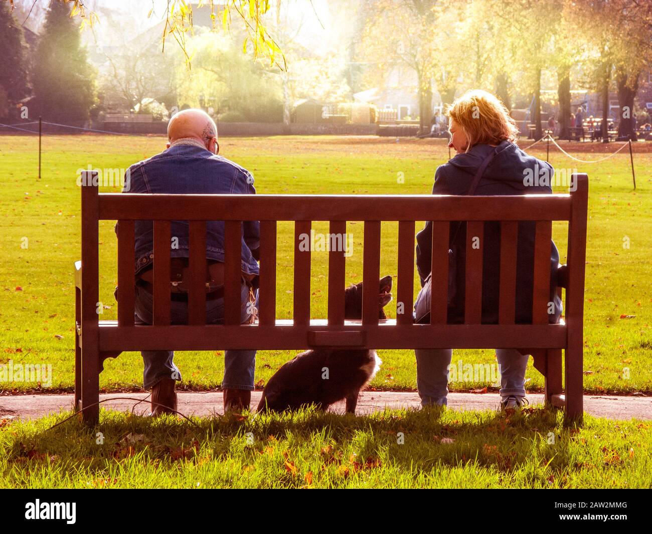 Couple on Park Bench with Dog, golden light Stock Photo