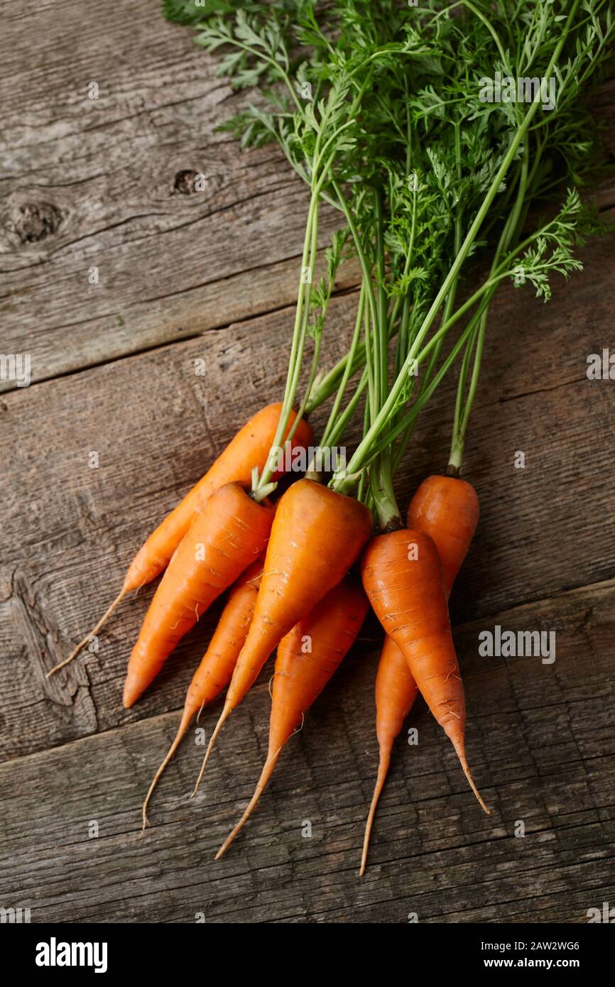 Fresh carrots with greens close up Stock Photo