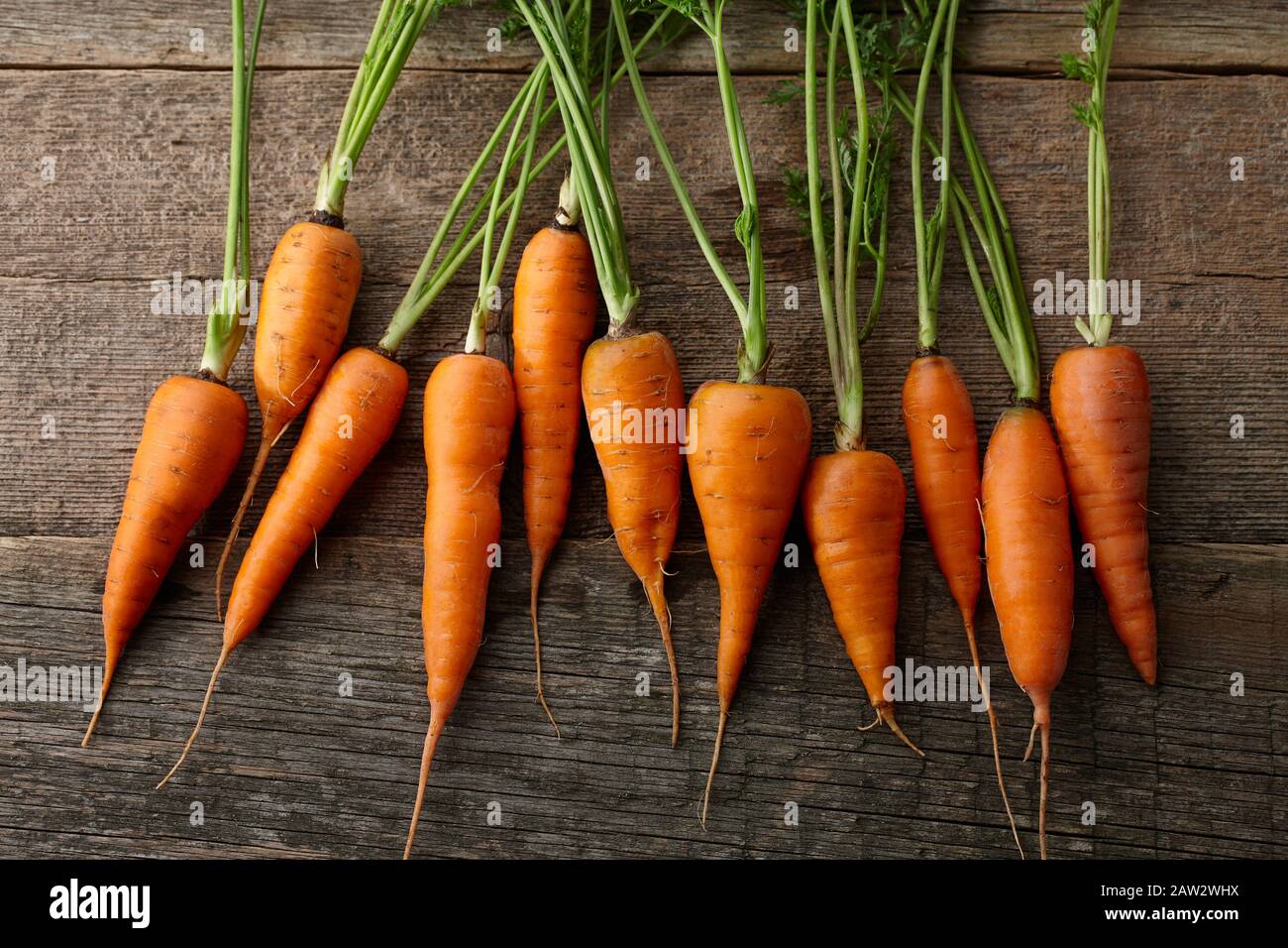 Fresh carrots with greens close up Stock Photo