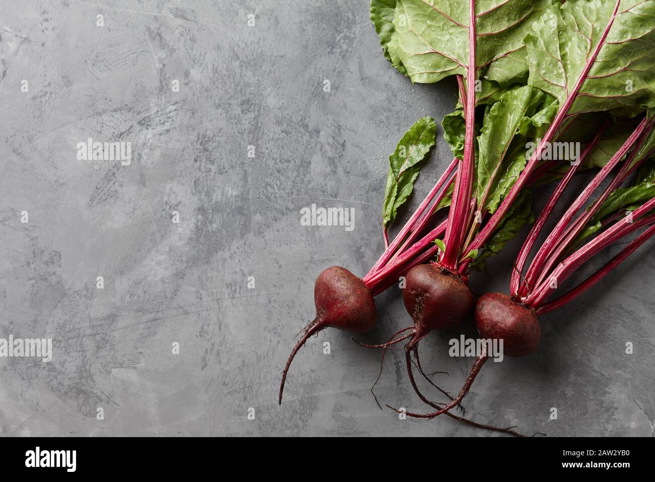 Fresh harvested beetroot on stone background Stock Photo